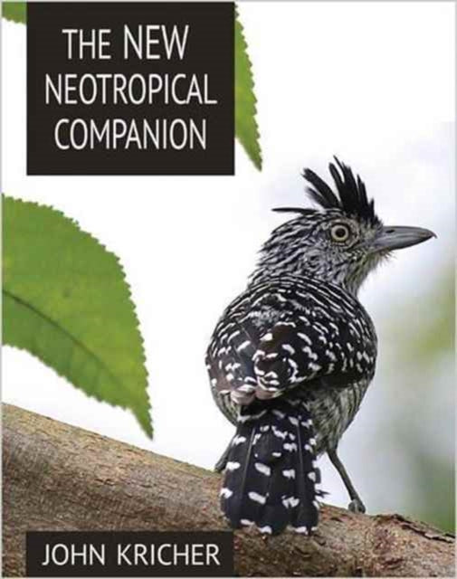 Book cover of: New Neotropical Companion. By: John Kricher
