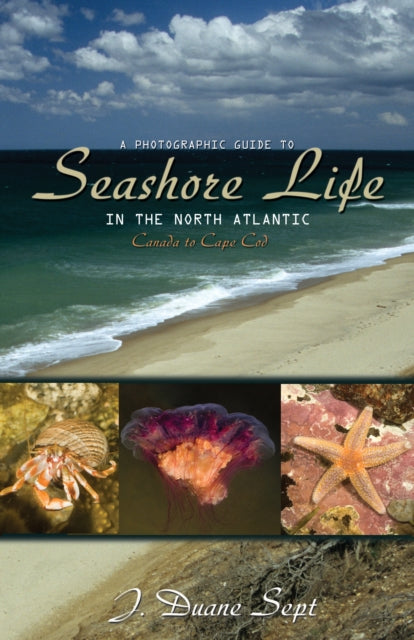 Book cover of: Photographic Guide to Seashore Life in the North Atlantic. By: J. Duane Sept