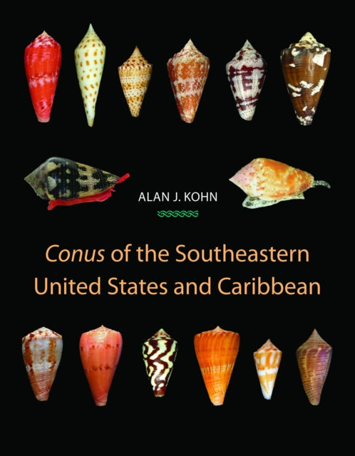 Book cover of: Conus of the Southeastern United States and Caribbean
