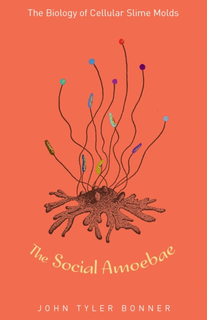 Book cover of: Social Amoebae. By: John Tyler Bonner