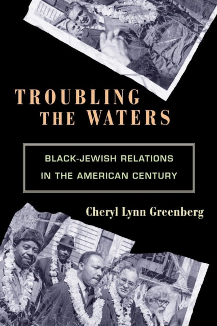 Book cover of: Troubling the Waters