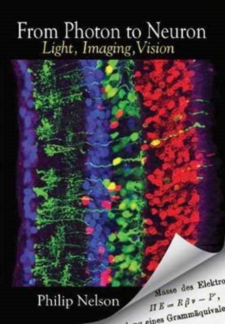 Book cover of: From Photon to Neuron. By: Philip Nelson
