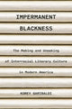 Book cover of: Impermanent Blackness. By: Korey Garibaldi