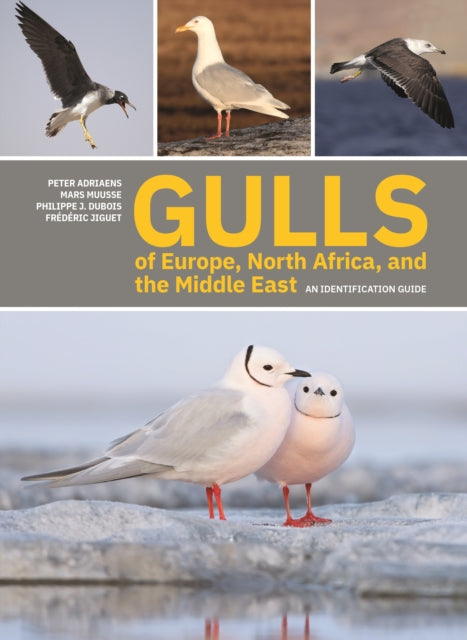 Book cover of: Gulls of Europe, North Africa, and the Middle East. By: Peter Adriaens