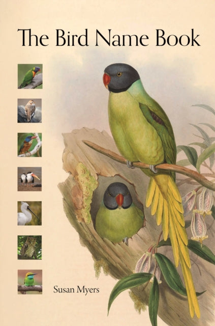 Book cover of: Bird Name Book. By: Susan Myers