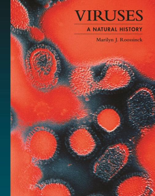 Book cover of: Viruses. By: Marilyn J. Roossinck