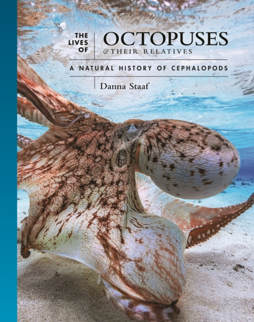 Book cover of: Lives of Octopuses and Their Relatives. By: Danna Staaf