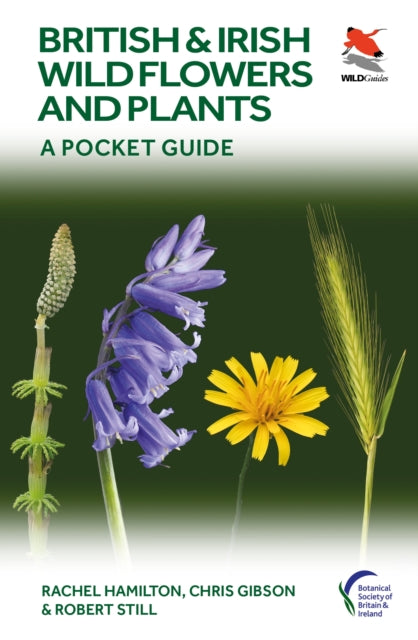British and Irish Wild Flowers and Plants, A Pocket Guide 9780691245409 Rachel Hamilton