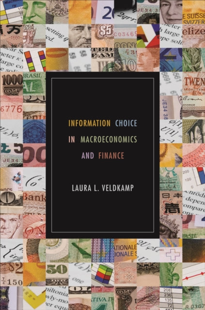Book cover of: Information Choice in Macroeconomics and Finance. By: Laura L. Veldkamp