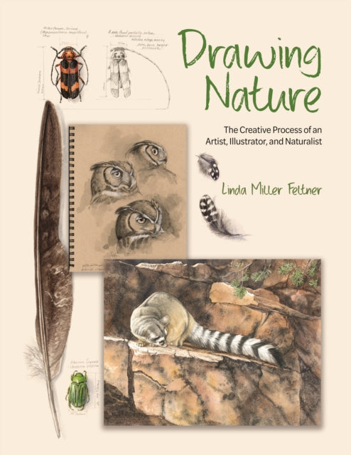 Book cover of: Drawing Nature. By: Linda Miller Feltner