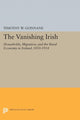 Book cover of: Vanishing Irish. By: Timothy W. Guinnane