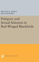 Book cover of: Polygyny and Sexual Selection in Red-Winged Blackbirds. By: William A. Searcy