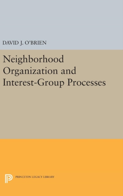 Book cover of: Neighborhood Organization and Interest-Group Processes. By: O'Brien, David J.