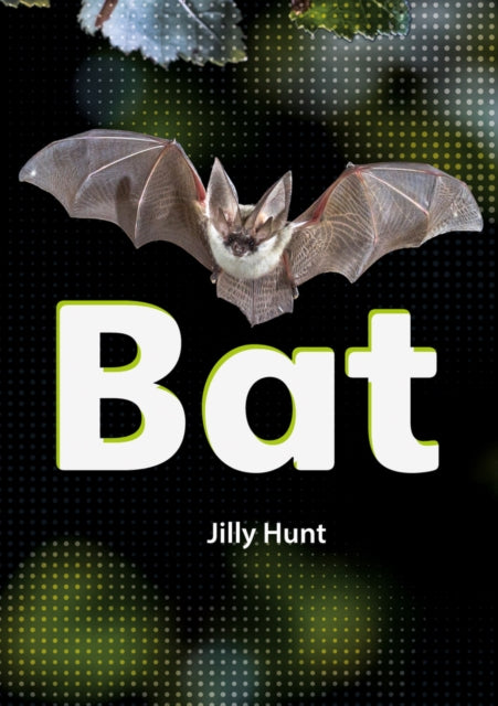 Book cover of: Bat (Set 02). By: Jilly Hunt