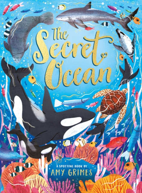 Secret Ocean 9780702331220 Amy Grimes