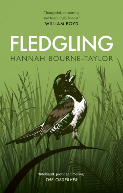 Fledgling 9780711266681 Hannah Bourne-Taylor