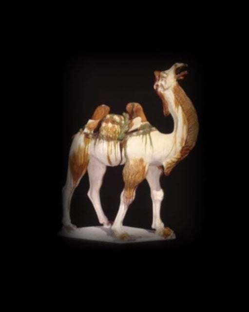 Silk Roads 9780714124971 Sue Brunning