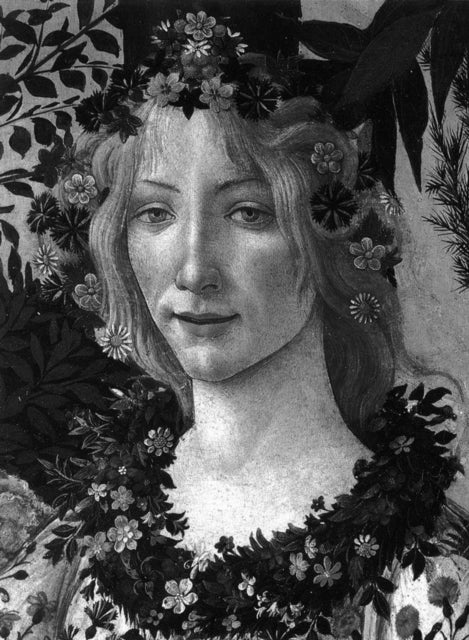 Book cover of: Botticelli. By: Lionello Venturi