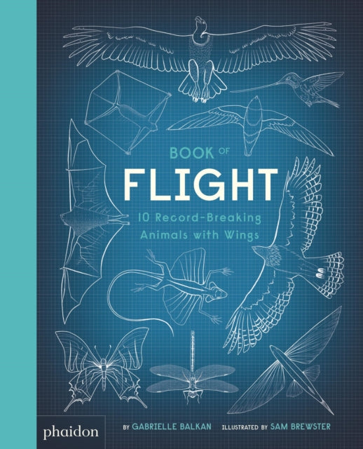 Book cover of: Book of Flight. By: Gabrielle Balkan