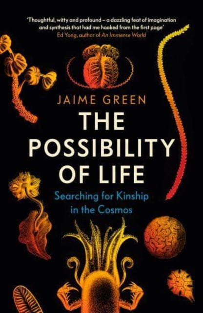 Book cover of: Possibility of Life. By: Jaime Green