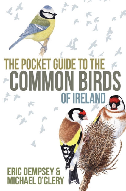 Book cover of: Pocket Guide to the Common Birds of Ireland. By: Eric Dempsey