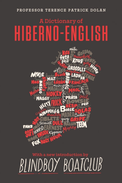 Book cover of: Dictionary of Hiberno English. By: Terence Patrick Dolan