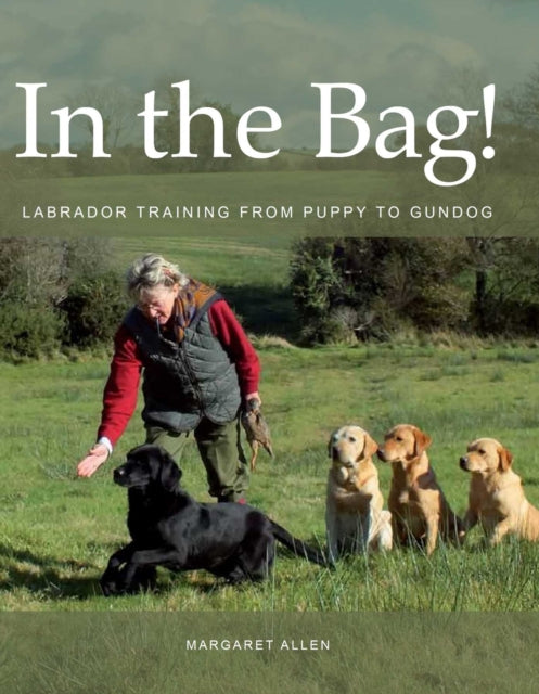 Book cover of: In the Bag!. By: Margaret Allen