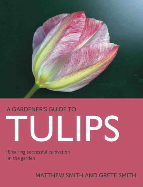 Book cover of: Tulips. By: Matthew Smith