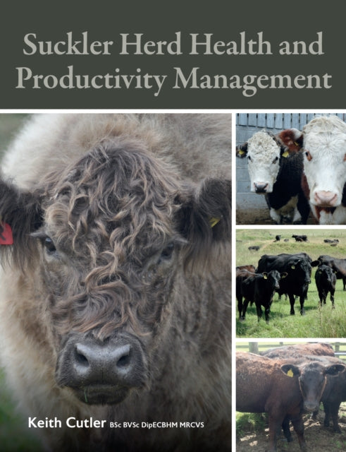 Suckler Herd Health and Productivity Management 9780719843938 Keith Cutler