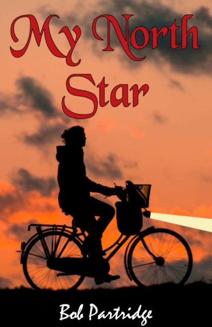 Book cover of: My North Star