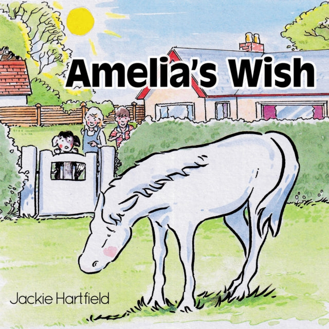 Book cover of: Amelia's Wish