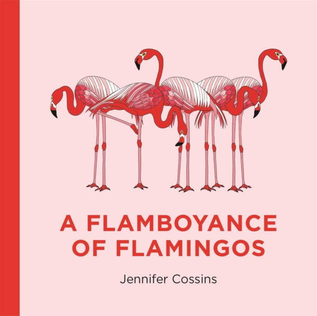 Book cover of: Flamboyance of Flamingos. By: Jennifer Cossins