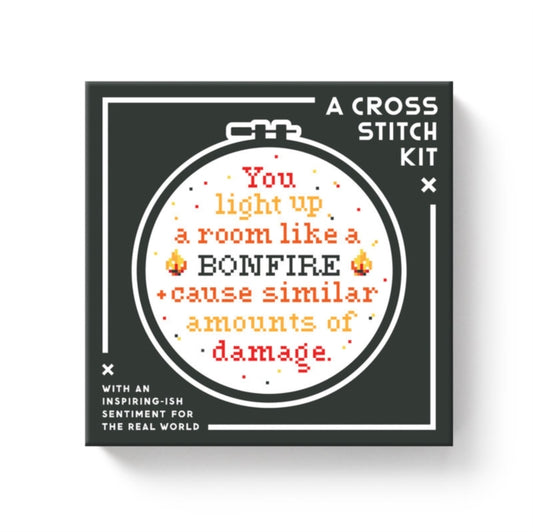 Book cover of: You Light Up A Room Cross Stitch Kit