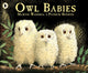 Book cover of: Owl Babies