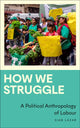 Book cover of: How We Struggle. By: Sian Lazar