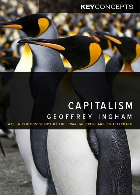 Book cover of: Capitalism. By: Geoffrey K. Ingham