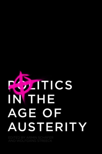 Book cover of: Politics in the Age of Austerity