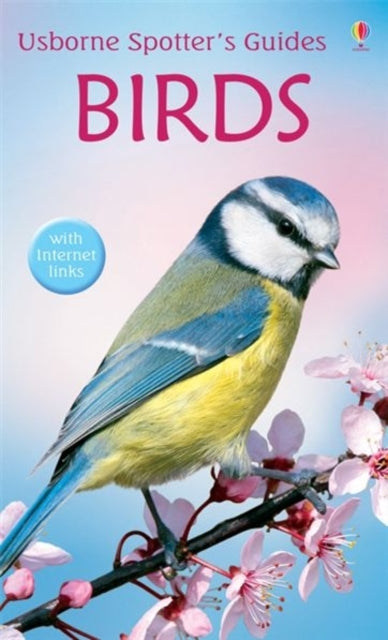 Book cover of: Birds. By: Peter Holden