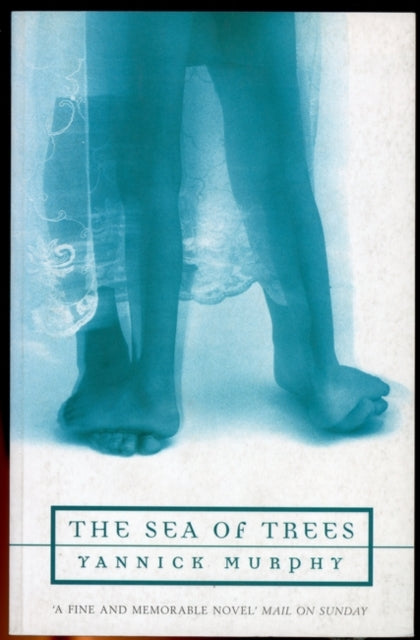 Book cover of: Sea of Trees. By: Yannick Murphy