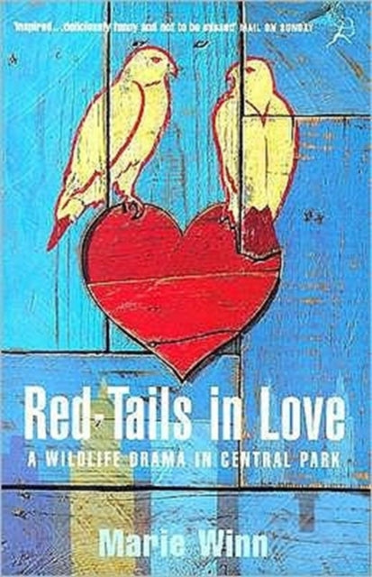 Book cover of: Red-tails in Love. By: Marie Winn