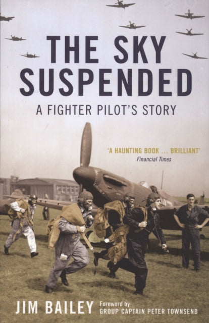 Book cover of: Sky Suspended. By: Jim Bailey