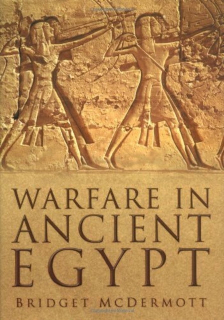 Book cover of: Warfare in Ancient Egypt