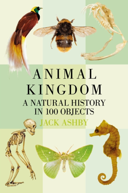 Book cover of: Animal Kingdom. By: Jack Ashby