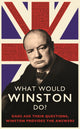 Book cover of: What Would Winston Do?: Dads ask their questions, Winston provides the answers. By: Ed Enfield