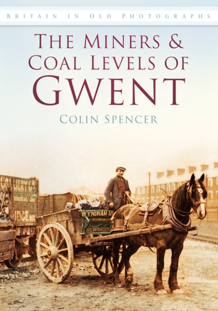Book cover of: Miners and Coal Levels of Gwent