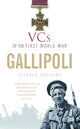 Book cover of: VCs of the First World War: Gallipoli. By: Stephen Snelling