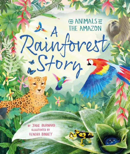 Book cover of: Rainforest Story. By: Jane Burnard