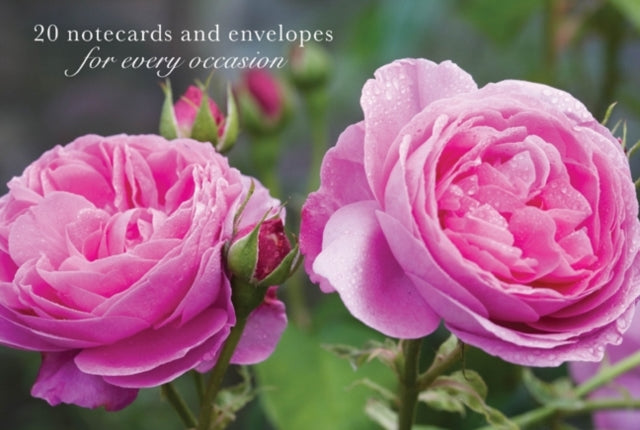 Book cover of: Card Box of 20 Notecards and Envelopes: Pink Rose. By: Peony Press