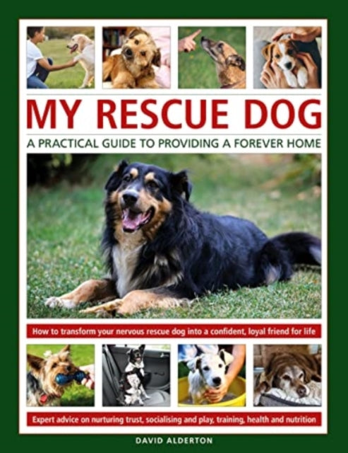 Book cover of: My Rescue Dog: A practical guide to providing a forever home. By: David Alderton