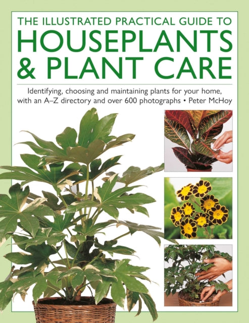 Illustrated Practical Guide to Houseplants & Plant Care